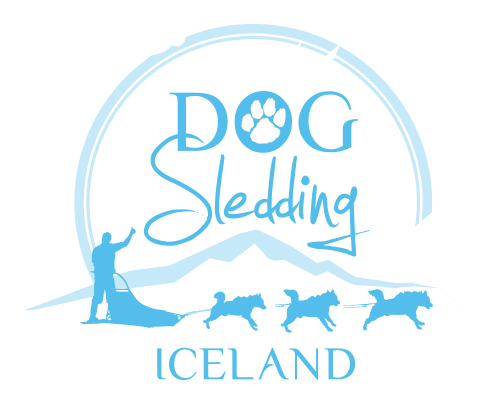 DogSledding Iceland
