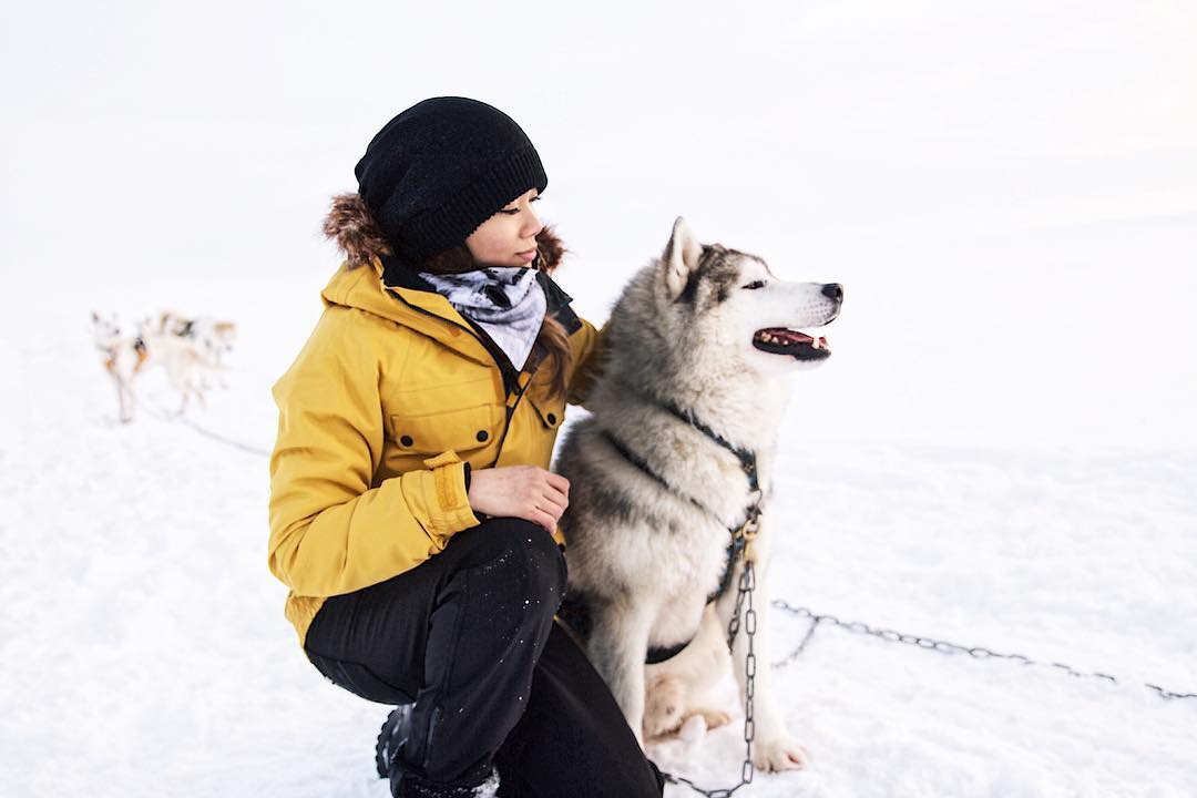 participant in yellow jacket posing with sled dog photo break dog sledding tour