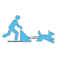 blue dog sled icon transparent background