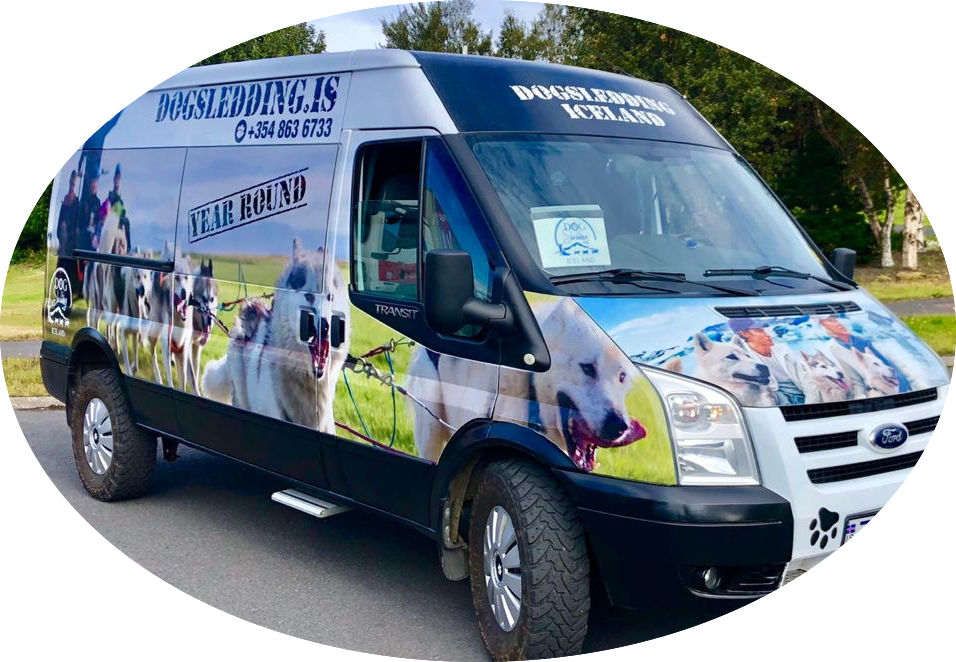 Dog_mobile_1 copy