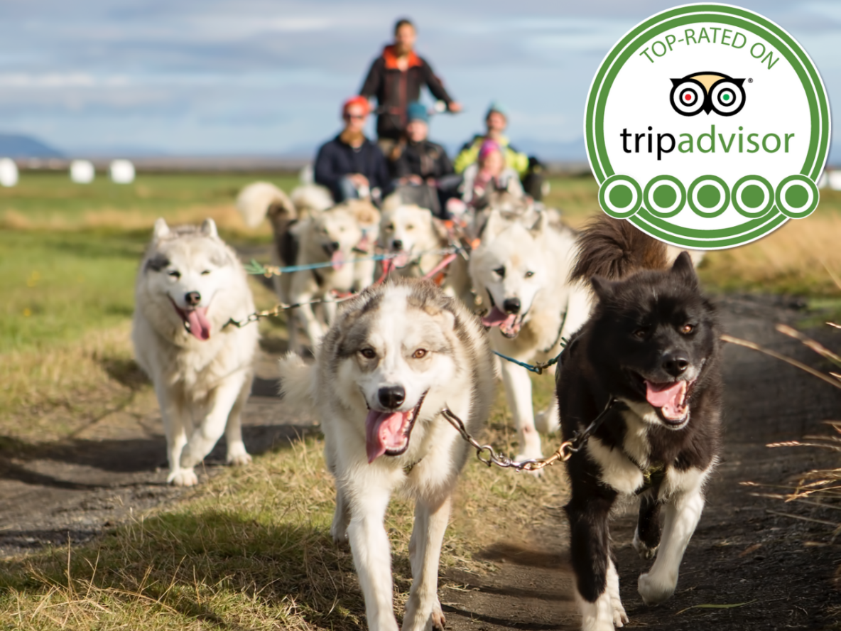 dryland_tripadvisor_excellence