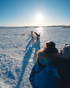 sled_view