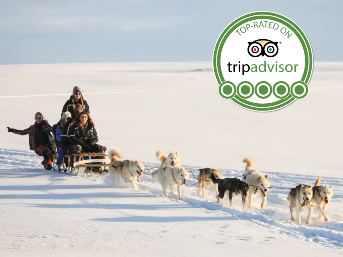 snow_tripadvisor_excellence