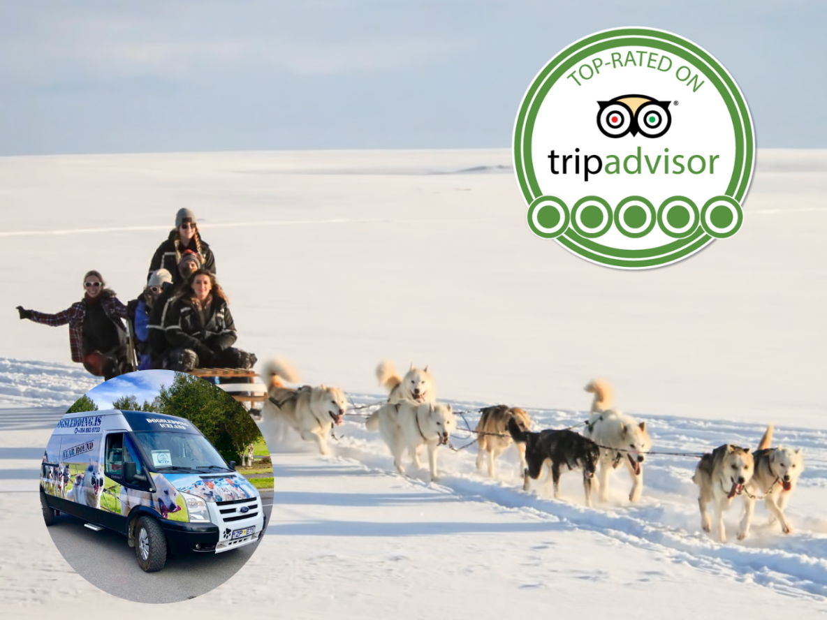 snow_tripadvisor_excellence_transfer